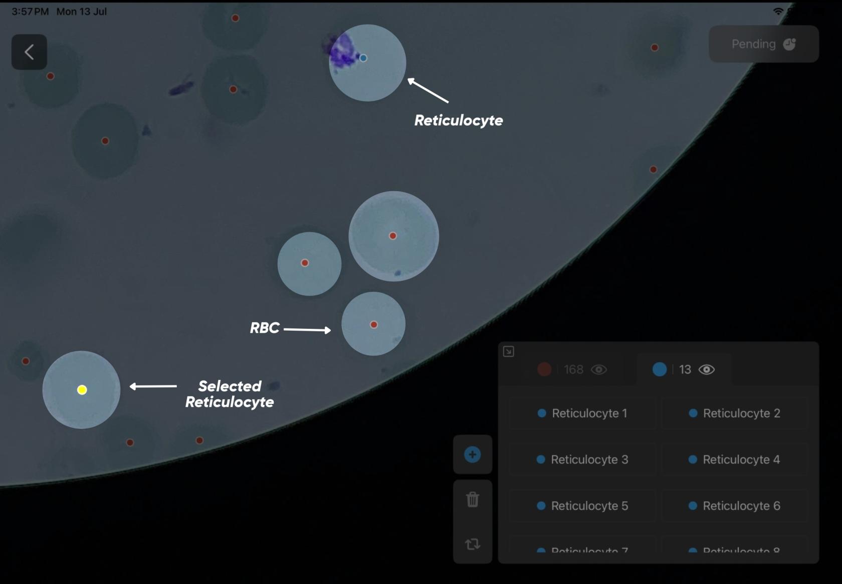 cell selection.jpg